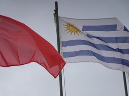 El gobierno concretó el primer embarque desde Uruguay a China de carne equina congelada sin hueso. El gobierno concretó el primer embarque desde Uruguay a China de carne equina congelada sin hueso.