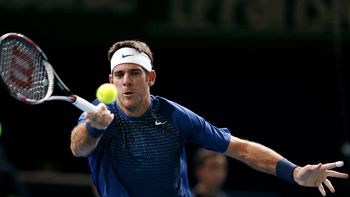 del potro le gano a dimitrov y avanza en paris del potro le gano a dimitrov y avanza en paris