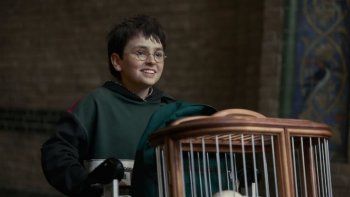 lanzaron el primer trailer de la serie de harry potter y crece la expectativa por su estreno lanzaron el primer trailer de la serie de harry potter y crece la expectativa por su estreno