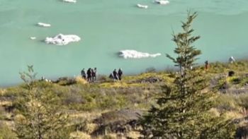 Turistas brasileños fueron multados en el Parque Nacional Nahuel Huapi por acercarse a una zona prohibida.