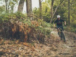 arca subasta una veintena de bicicletas estilo mountain bike: como participar arca subasta una veintena de bicicletas estilo mountain bike: como participar