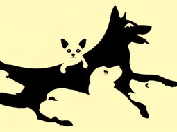 Test viral revela aspectos de tu mente según la cantidad de perros que veas en la imagen