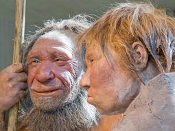 Neardentales se medicaban con aspirina natural