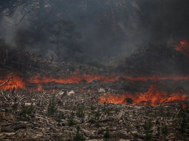 Registraron condiciones peligrosas para incendios forestales