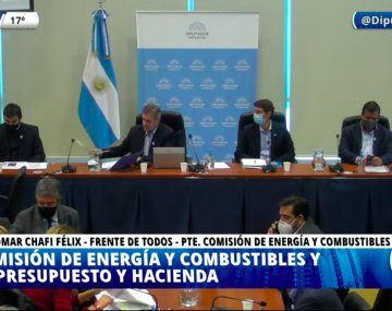Diputados emitió dictamen a la modificación de la ley de biocombustibles