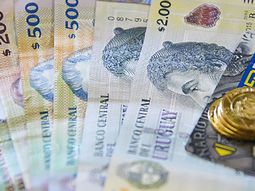 El Frente Amplio busca que Cabildo Abierto acompañe la iniciativa. El Frente Amplio busca que Cabildo Abierto acompañe la iniciativa.