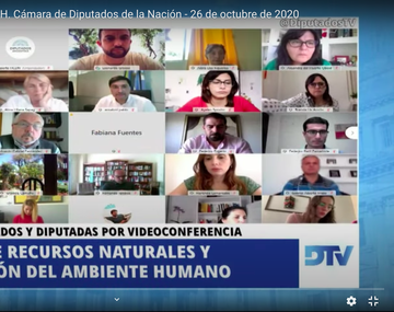 Dictamen favorable de comisión de Diputados a proyecto para proteger suelos y bosques