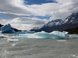 Reconocimiento internacional a las investigaciones científicas de la Argentina en la Antártida