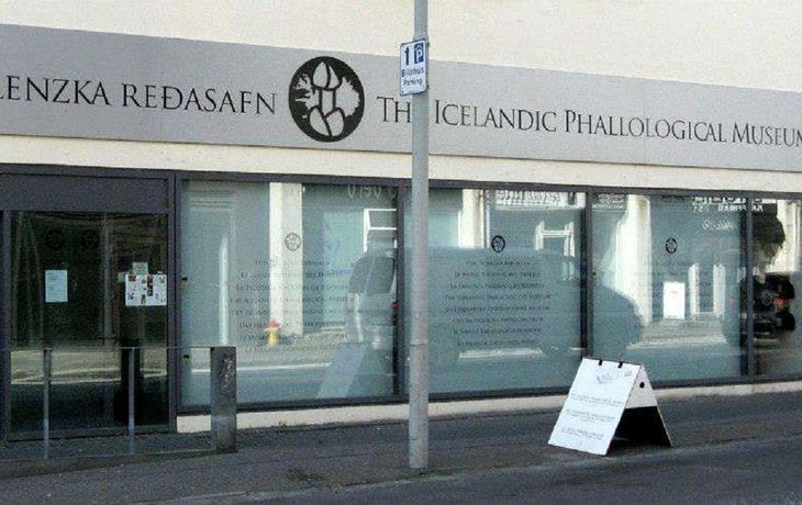 ¿Te animás a recorrerlo? Así es el museo del pene que atrae a miles de turistas