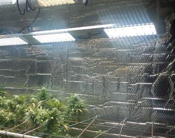 Gentileza enlacecritico