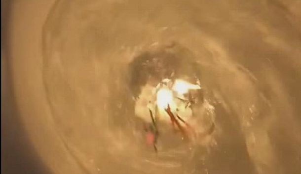 A lo vikingo: quemó a su pez muerto en un inodoro y tiró la cadena