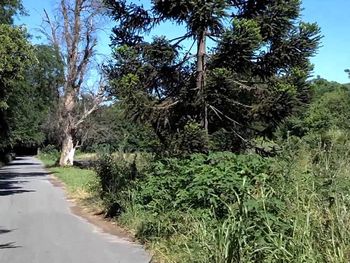 Lomas de Zamora: violaron a una mujer en la reserva Santa Catalina Lomas de Zamora: violaron a una mujer en la reserva Santa Catalina