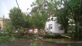 @CardosoClaudio9 La Plata @CardosoClaudio9 La Plata