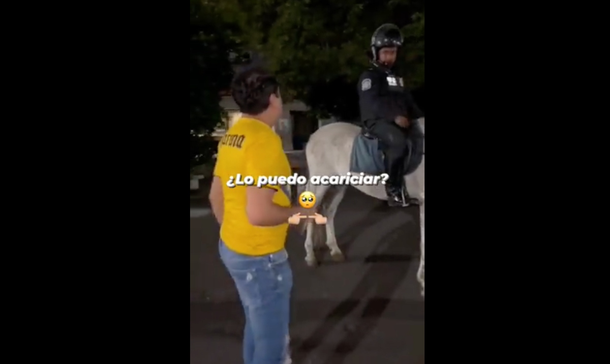¿Puedo acariciarlo?: el chiste a un policía a caballo que es viral y estalla en las redes
