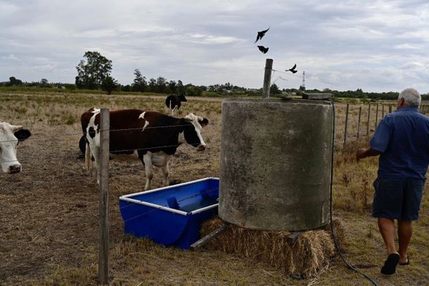 El PIT-CNT pidió un seguro de paro especial que atienda la zafralidad de los trabajadores rurales.
