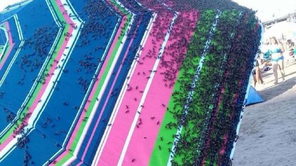 Las avispas invadieron las playas