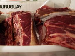 China pagó más por la carne uruguaya durante setiembre a comparación de agosto. China pagó más por la carne uruguaya durante setiembre a comparación de agosto.