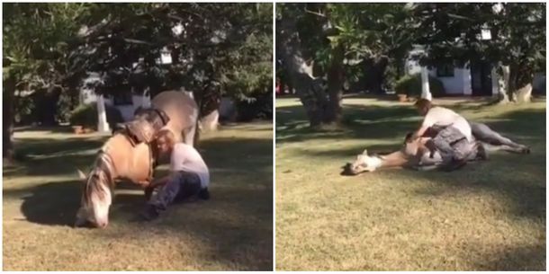 Facundo Arana y un tierno video con un caballo
