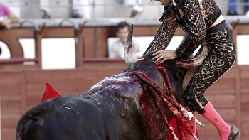 un torero esta muy grave tras recibir una cornada en madrid un torero esta muy grave tras recibir una cornada en madrid