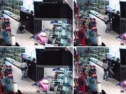 El nene robó un cachorro bajo la supervisión de su mamá