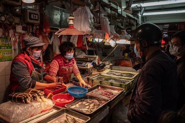 Acusan a China de reabrir los mercados de animales salvajes y una nueva investigación revela su extrema crueldad