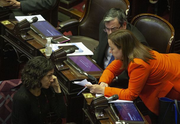 Blooper en Diputados de Cecilia Moreau: Aunque nos comamos diez pijazos mostramos seriedad