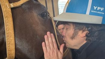 al apoyar una contradiccion, adorni revelo por que milei no puede montar a caballo al apoyar una contradiccion, adorni revelo por que milei no puede montar a caballo