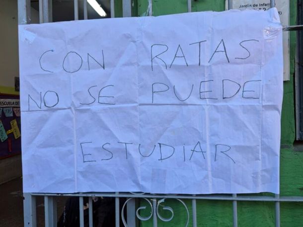 Denuncian la aparición de ratas en una escuela de Mataderos