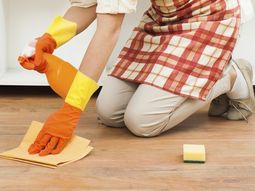 la anmat prohibio el uso de varios productos de limpieza para la casa la anmat prohibio el uso de varios productos de limpieza para la casa