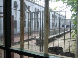 Penal de magdalena