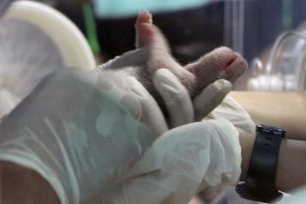 20090527-633790324302211651