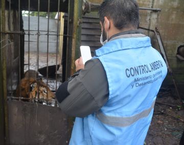 Rescataron a más de 300 animales a los que criarían para cotos de caza