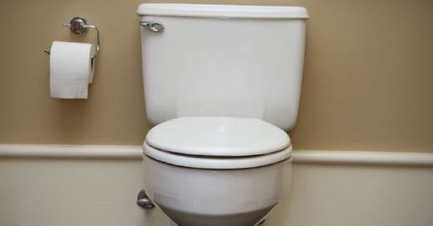 ¡Un asco! Levanta la tapa del inodoro y encuentra 40 ranas