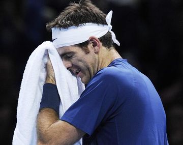 Del Potro afirmó que dejará lo último contra Federer