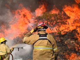 Incendios en C&oacute;rdoba: arduo trabajo de los bomberos para combatir el fuego&nbsp;