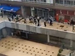 ¿en europa no pasa? feroz batalla entre barras del celta y el betis ¿en europa no pasa? feroz batalla entre barras del celta y el betis