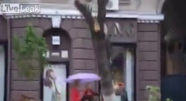 VIDEO: Una mujer casi es aplastada por un árbol