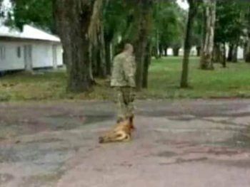 Encontraron muerto al militar que torturó y asesinó a un perro en Olavarría