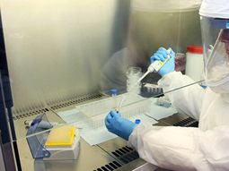 ebola: como se contagio la paciente de dallas ebola: como se contagio la paciente de dallas