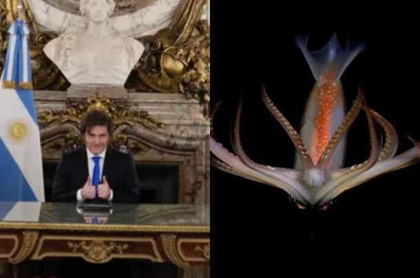 Abrumadora diferencia de visualizaciones entre el streaming del Conicet y la cadena nacional de Javier Milei