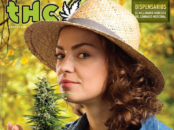 dolores fonzi, polemica: mis hijos me ven fumar marihuana dolores fonzi, polemica: mis hijos me ven fumar marihuana