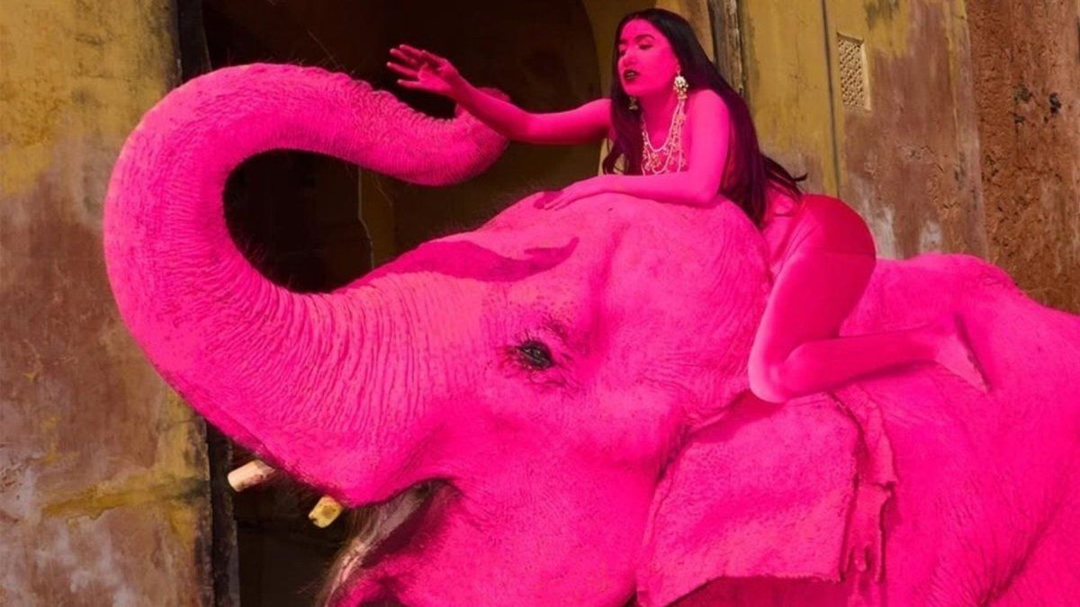 Imagen noticia completa