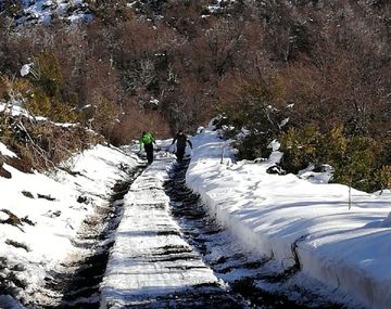 Ola de frío polar: alertas por nevadas y vientos fuertes en 5 provincias para hoy
