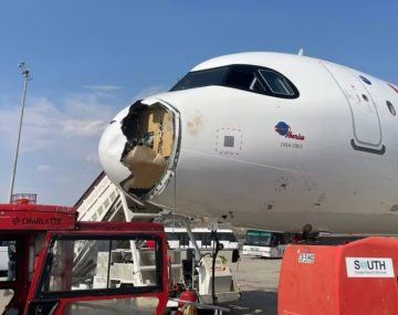 Terror en el aire: un ave obligó a un avión a volver de urgencia a Madrid