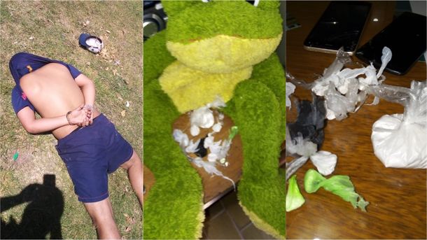 La Plata: dos detenidos por transportar en un peluche