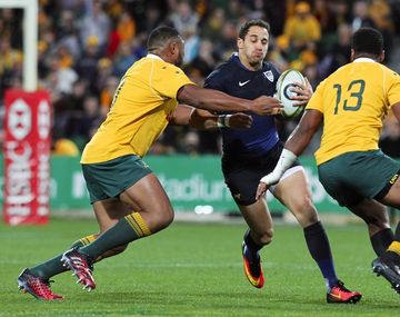 Los Pumas volvieron a sufrir y fueron derrotados por los Wallabies