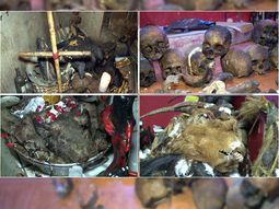 impactantes imagenes de un allanamiento a templo umbanda en el conurbano impactantes imagenes de un allanamiento a templo umbanda en el conurbano