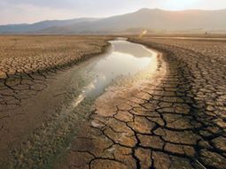 Temperaturas extremas: solo un adelanto de lo que nos reserva el futuro