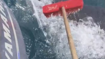 Un pescador tiene que ahuyentar a un tiburón con una escoba Un pescador tiene que ahuyentar a un tiburón con una escoba