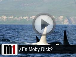 Moby-Dick Moby-Dick